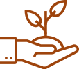 Tree Seedlings Sold