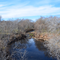 38th Street looking downstream