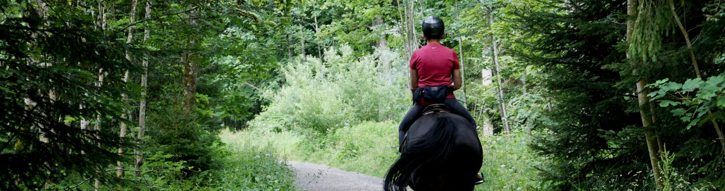 riding trail on horse back