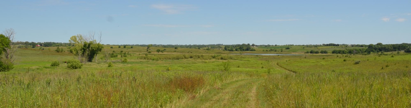 Little Salt Fork Marsh Preserve