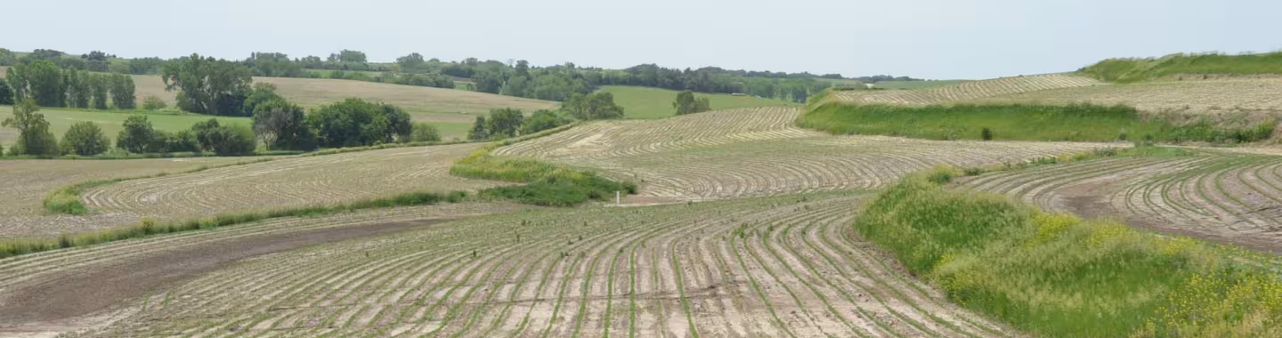 field terraced