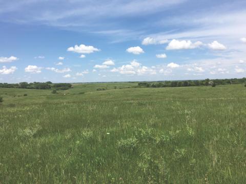 a picturesque prairie