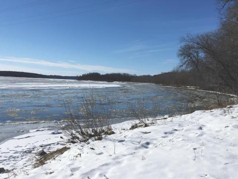 snow covered riverbank