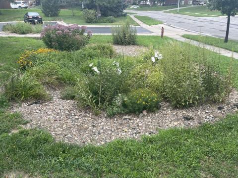 green landscaping