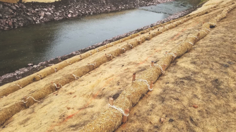 wattles to help stabilize the stream banks