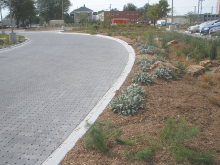 pervious pavers and bioswale