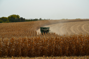 Precipitation Outlook