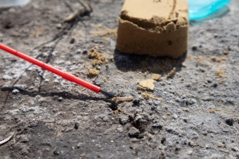 LPSNRD Supports Endangered Salt Creek Tiger Beetle Recovery