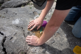 LPSNRD Supports Endangered Salt Creek Tiger Beetle Recovery