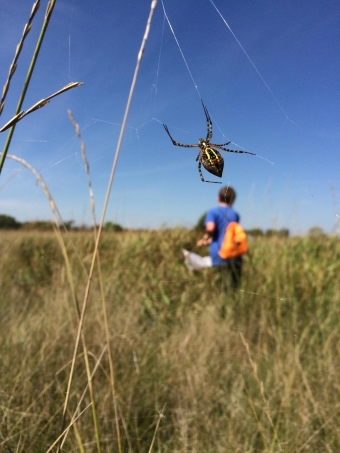 spider with kid in the background