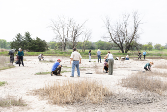 Endangered Salt Creek Tiger Beetle Release