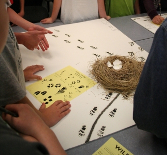 kids learning about animals