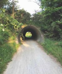 MoPac East Tunnel 