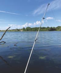fishing pole on a lake 