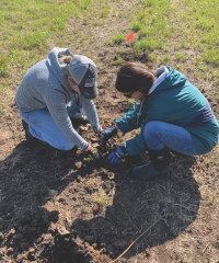 seedling planters