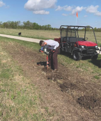 seedling planter