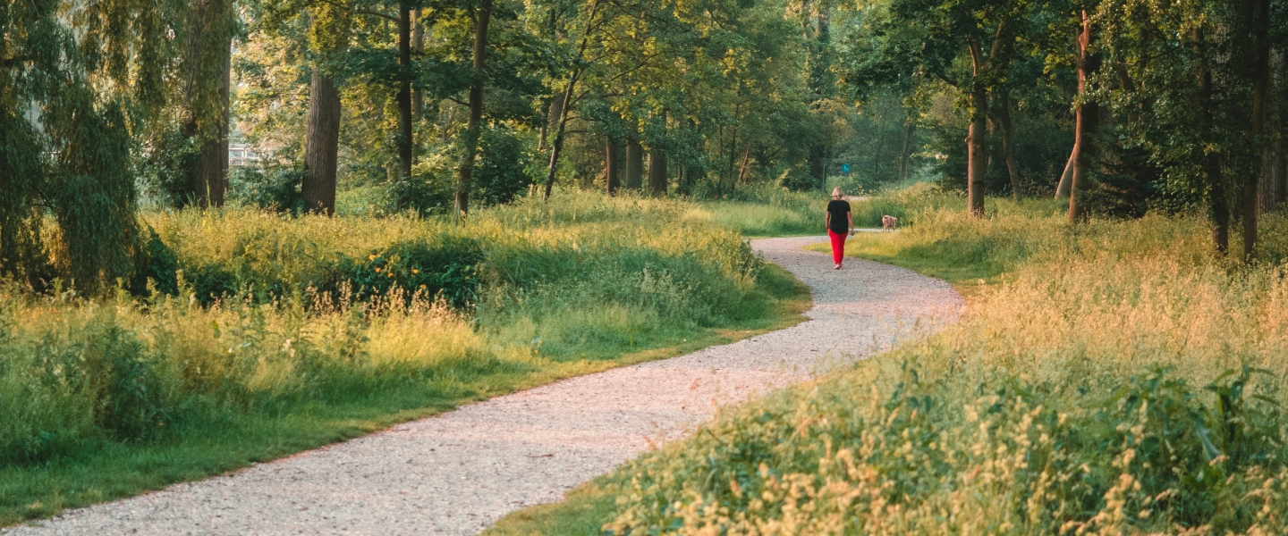 walking on a path
