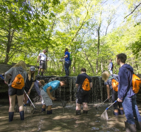 kids exploring at water falls