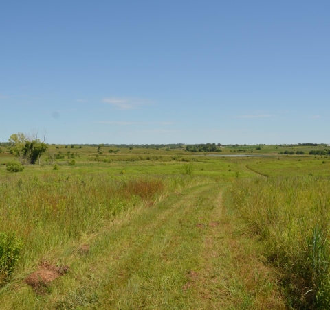 Little Salt Fork Marsh Preserve