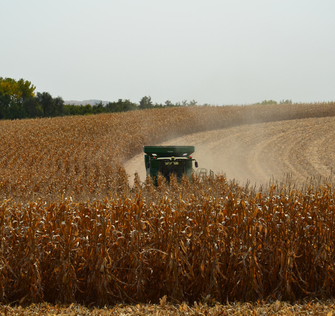 Precipitation Outlook