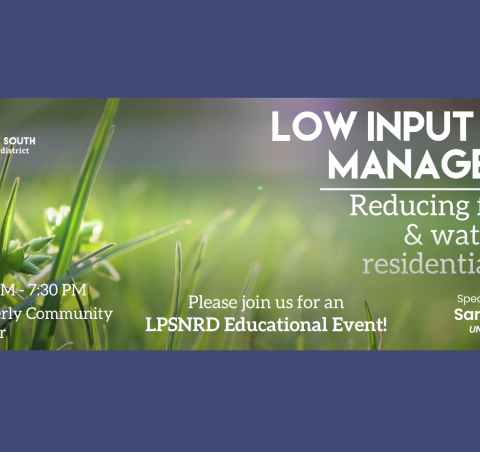 Reducing The Urban Nitrogen Load