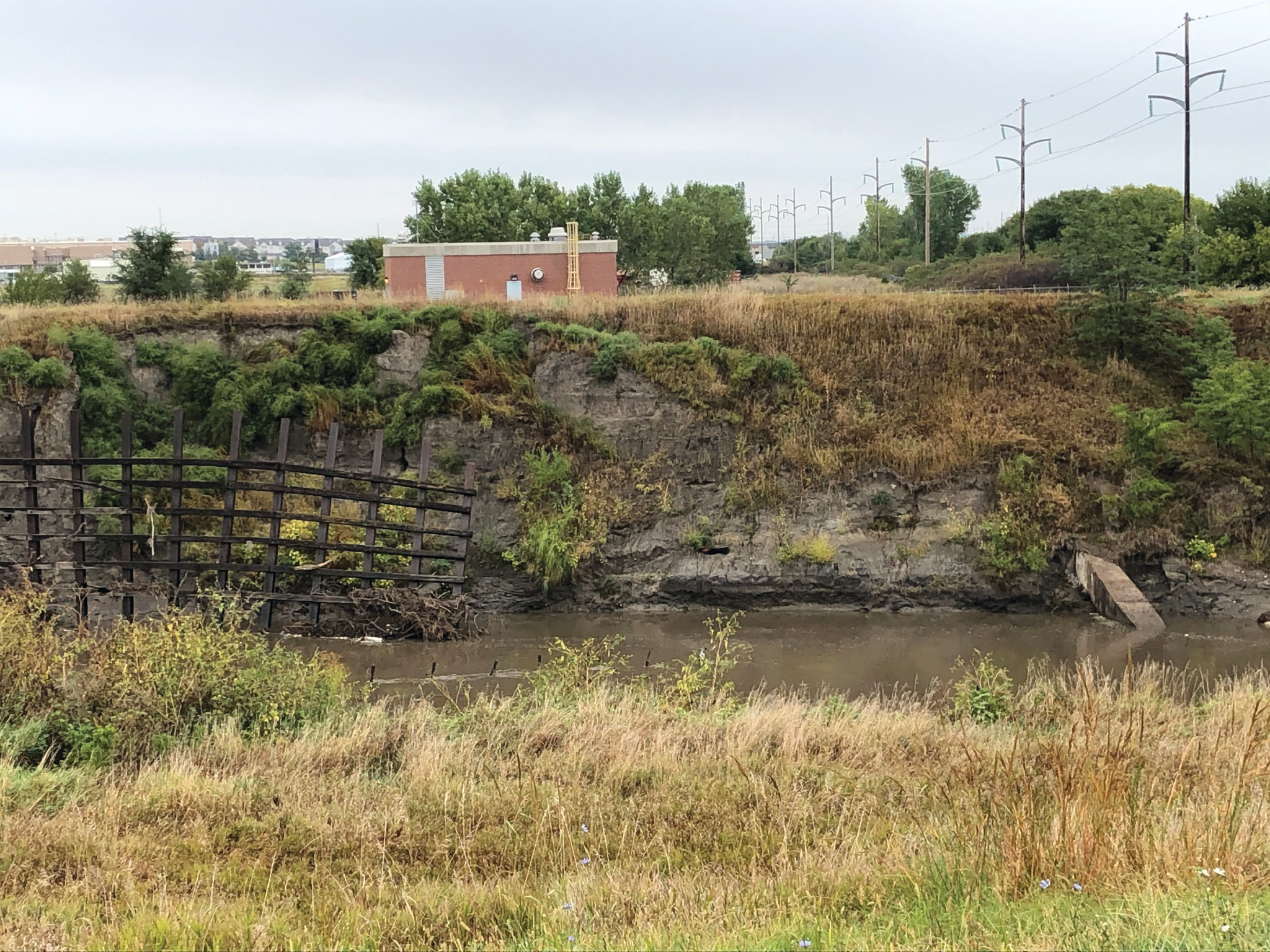 Salt Creek Levee just downstream of 27th Street